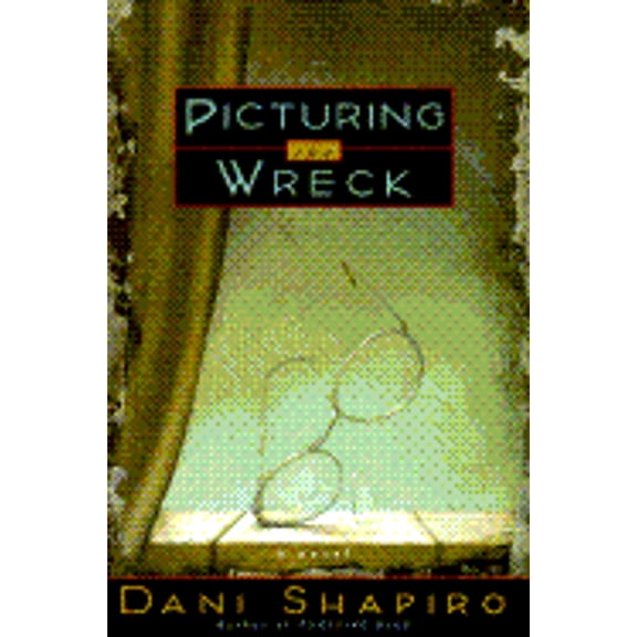 Pre-Owned Picturing the Wreck (Hardcover) 0385472633 9780385472630