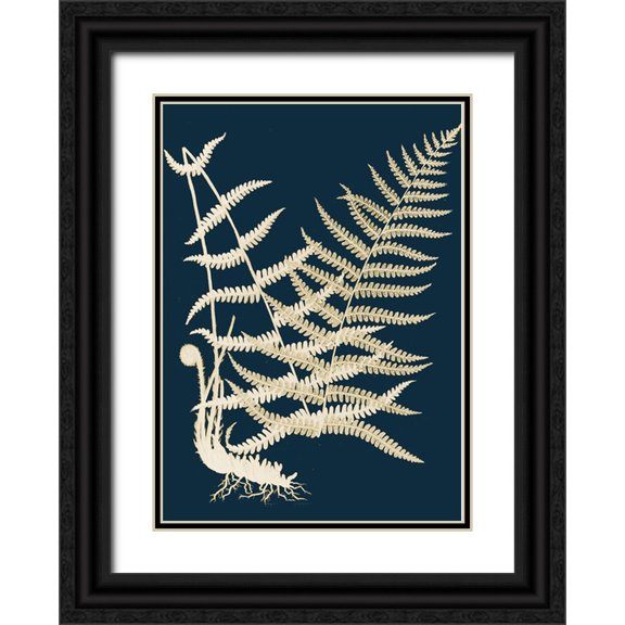 Piddix 11x14 Black Ornate Wood Framed with Double Matting Museum Art Print Titled - Ferns II