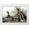 thumbnail image 1 of Piddix 14x11 White Modern Wood Framed Museum Art Print Titled - Duck Days, 1 of 4