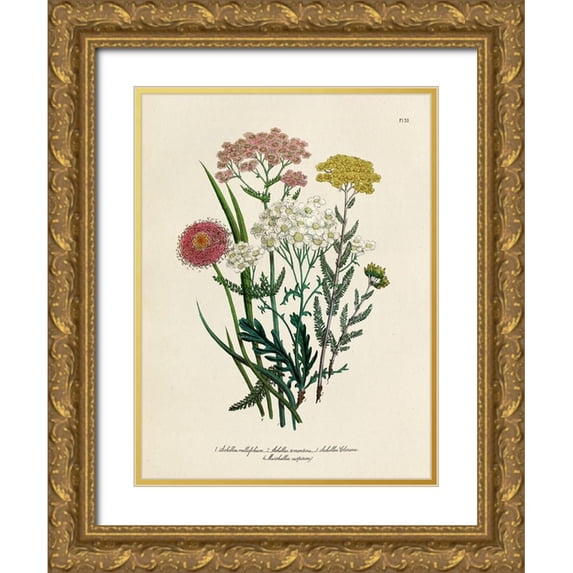 Piddix 15x18 Gold Ornate Wood Framed with Double Matting Museum Art Print Titled - Vintage Flowers II