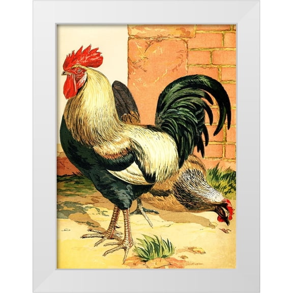 Piddix 19x24 White Modern Wood Framed Museum Art Print Titled - Rooster