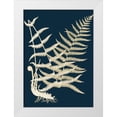 thumbnail image 1 of Piddix 24x32 White Modern Wood Framed Museum Art Print Titled - Ferns II, 1 of 4
