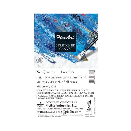 Pidilite Fevicryl Fine Art Stretched Canvas Back Fold For Painting, 100