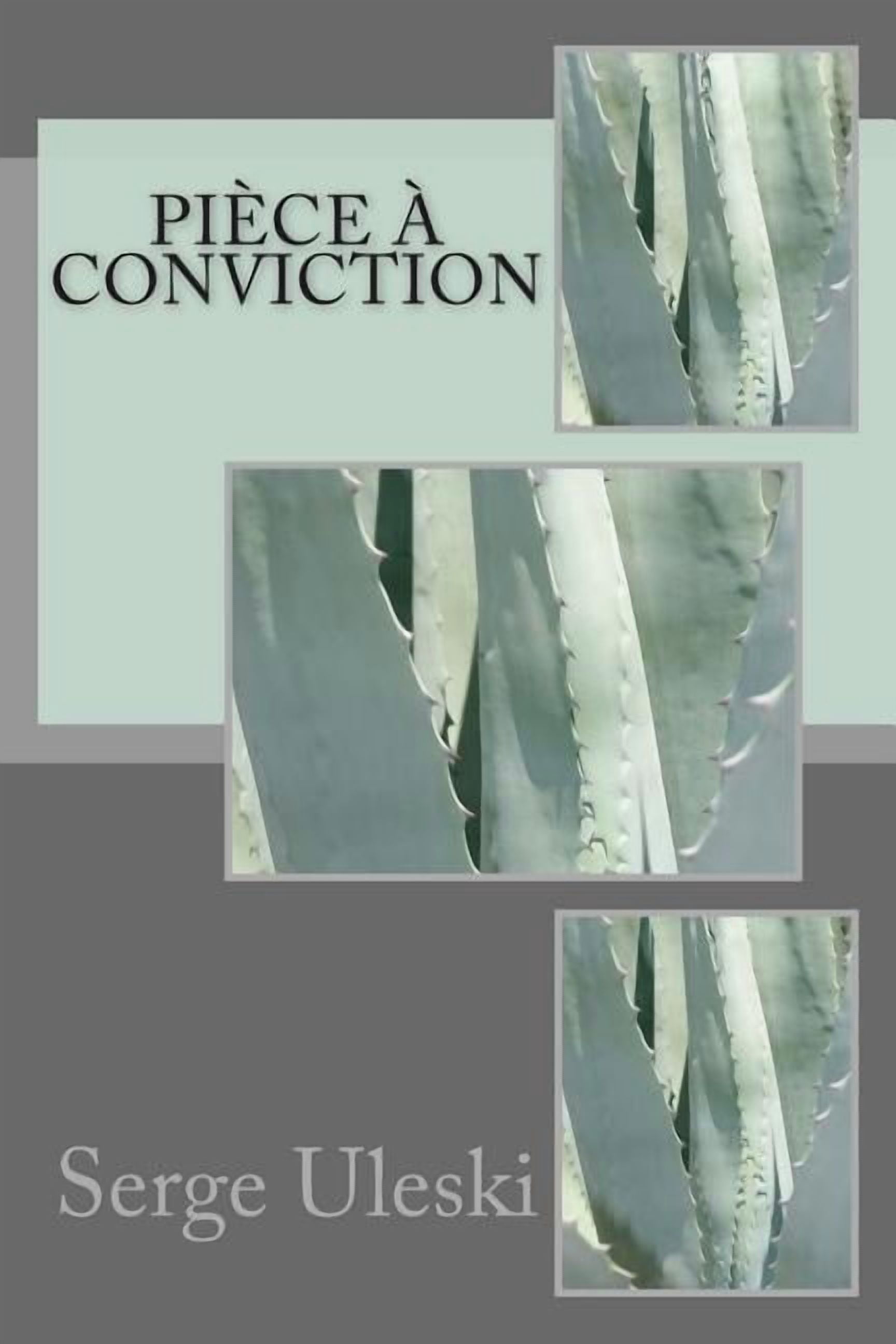 Piece a Conviction (Paperback)