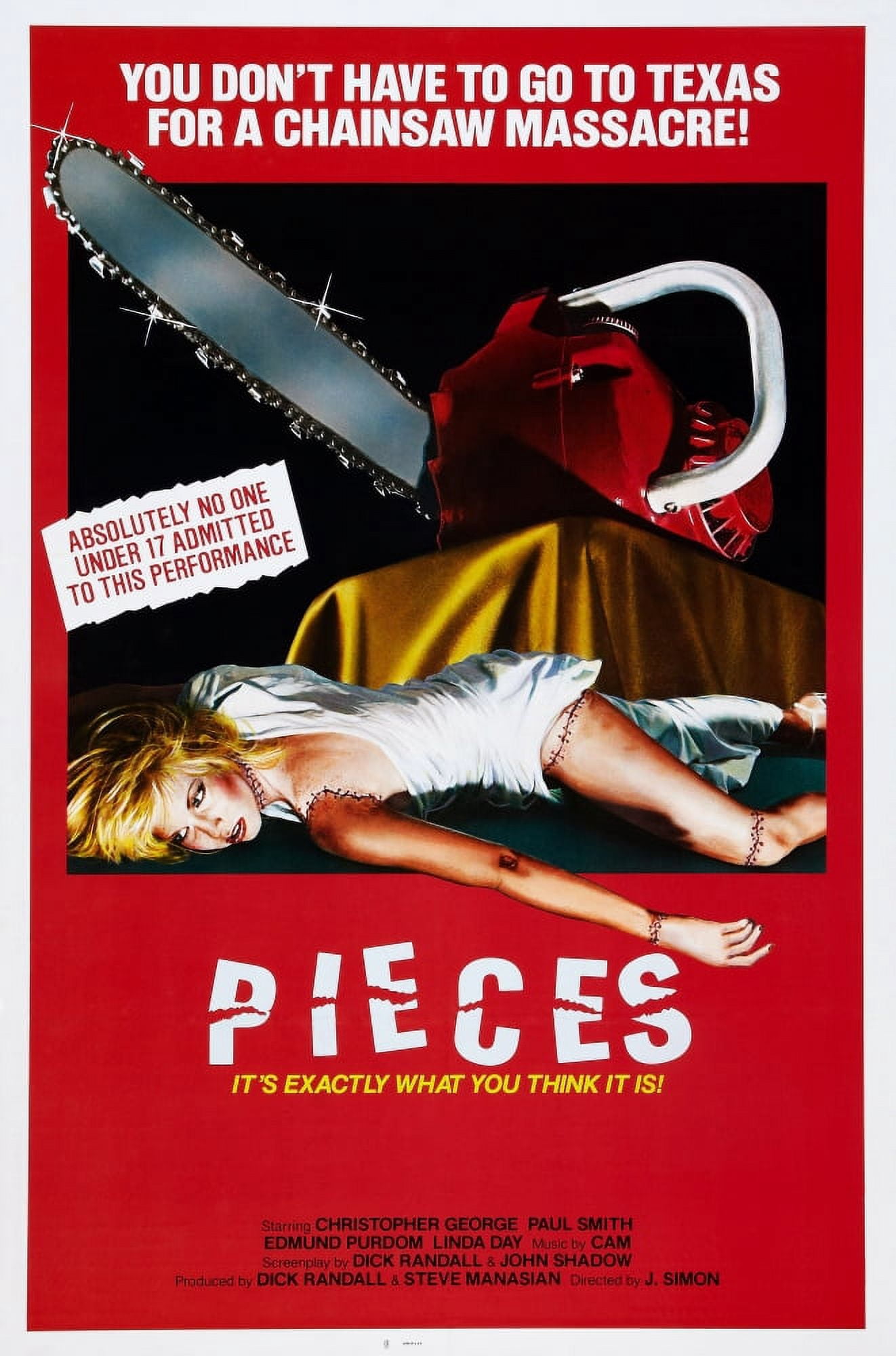 Pieces Canvas Art - (18 x 24)