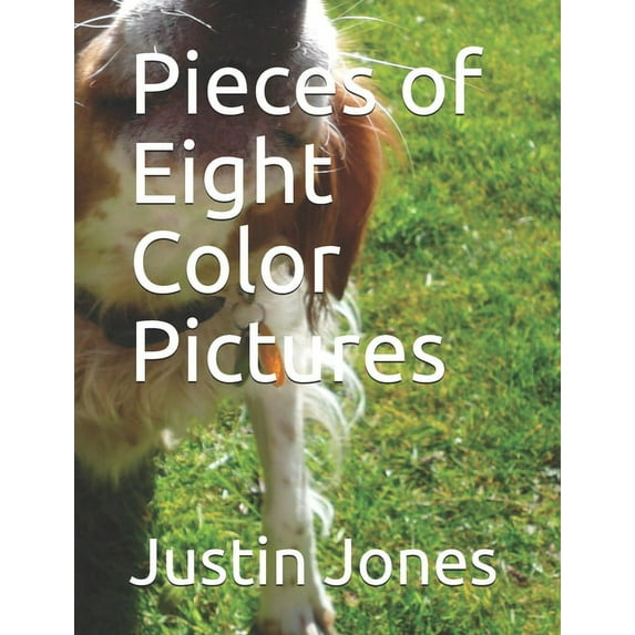 Pieces of Eight Color Pictures (Paperback)