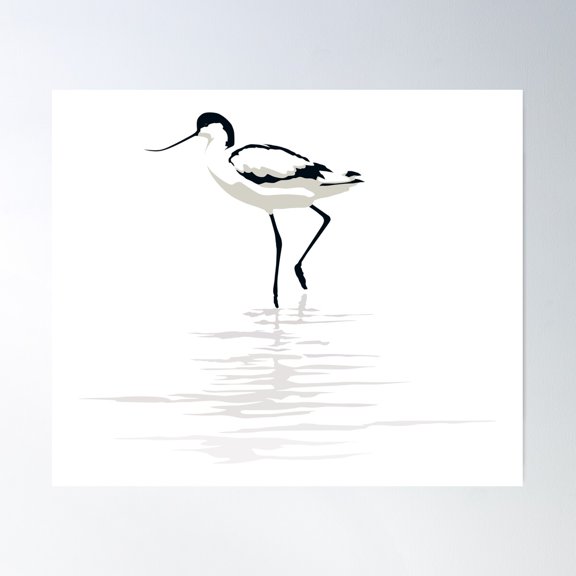 Pied Avocet On White Background Poster Wall Art, Modern Wall Decor For Living Room Bedroom, 16x24 UNFRAMED