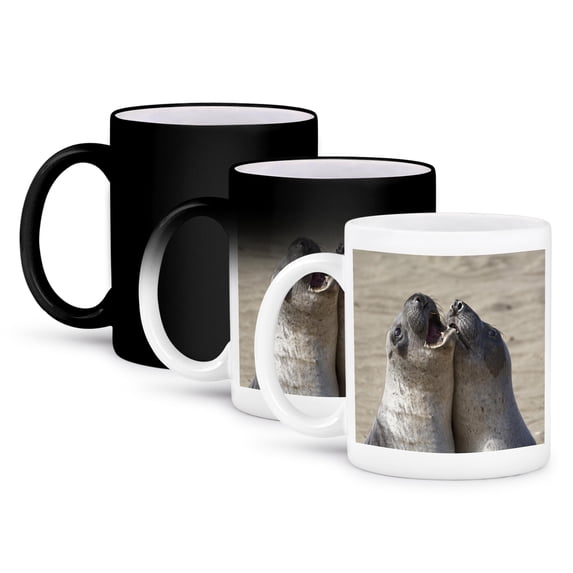 3dRose, Piedras Blancas Elephant Seal Rookery, California - US05 CHA0048 - Chuck Haney, 11oz Magic Transforming Mug