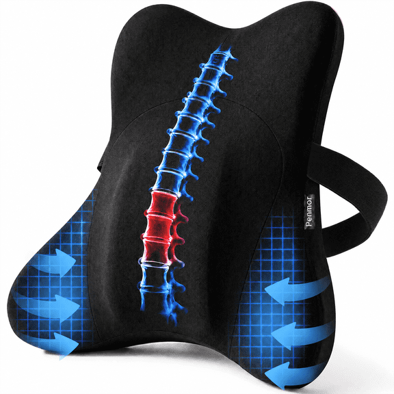 Pienmor Lumbar Pillow Ergonomic Back Support Cushion Memory Foam for Car Office Chair Black
