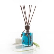 Pier 1 Imports Reed Diffuser with Reed Sticks in a  10 oz.  Premium Glass Container - Oceans