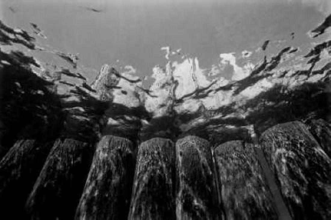 Pier Pilings I Canvas Art - Lee Peterson (12 x 18)