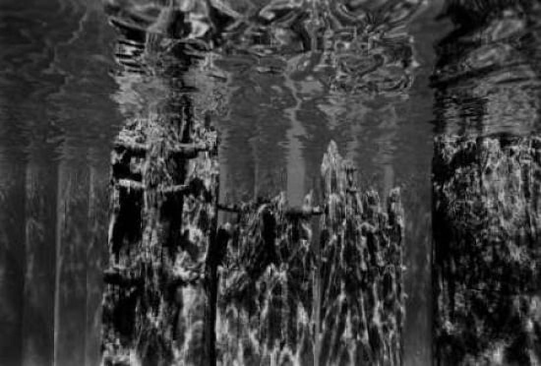 Pier Pilings II Canvas Art - Lee Peterson (24 x 36)