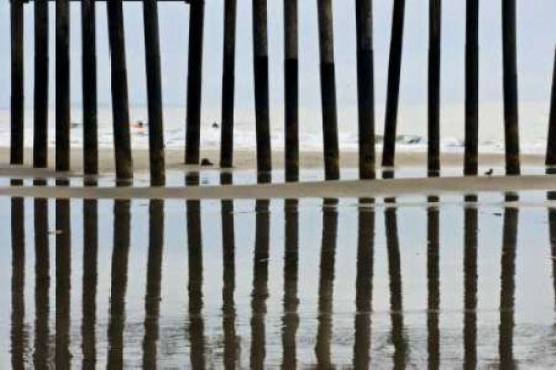 Pier Pilings II3 Canvas Art - Lee Peterson (24 x 36)