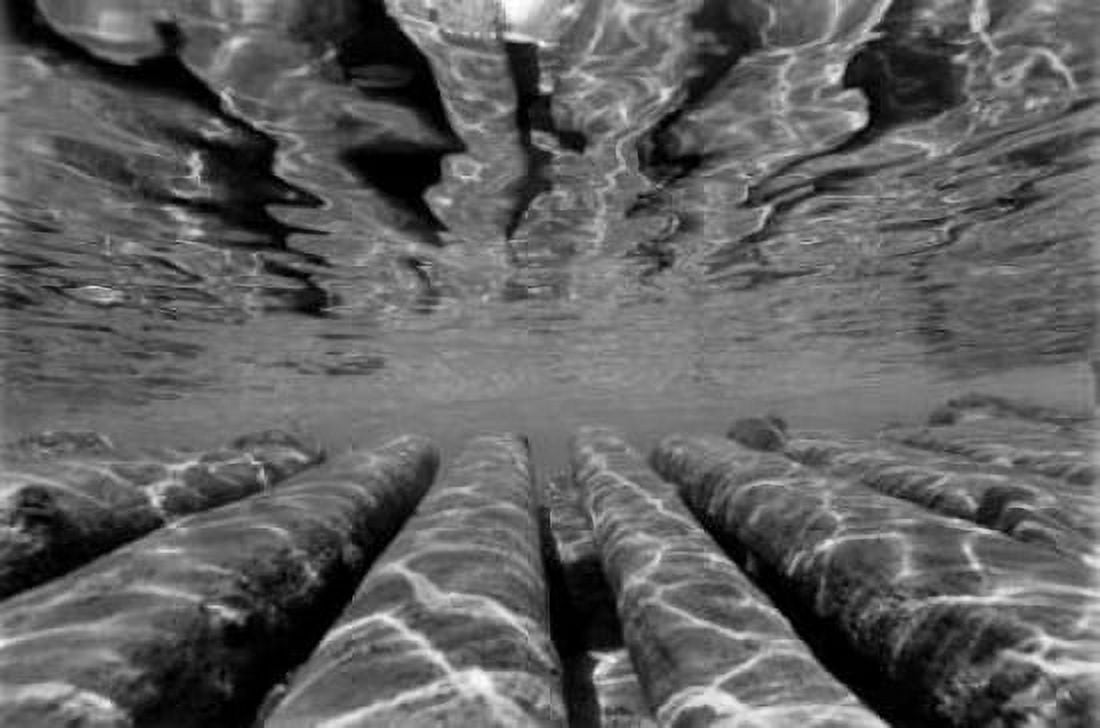 Pier Pilings III Canvas Art - Lee Peterson (24 x 36)