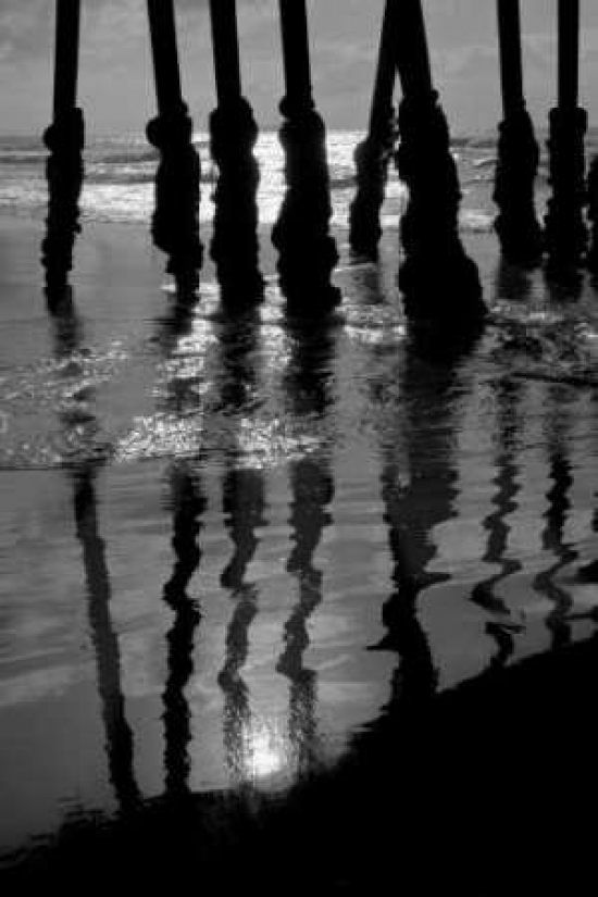 Pier Pilings IX Canvas Art - Lee Peterson (24 x 36)