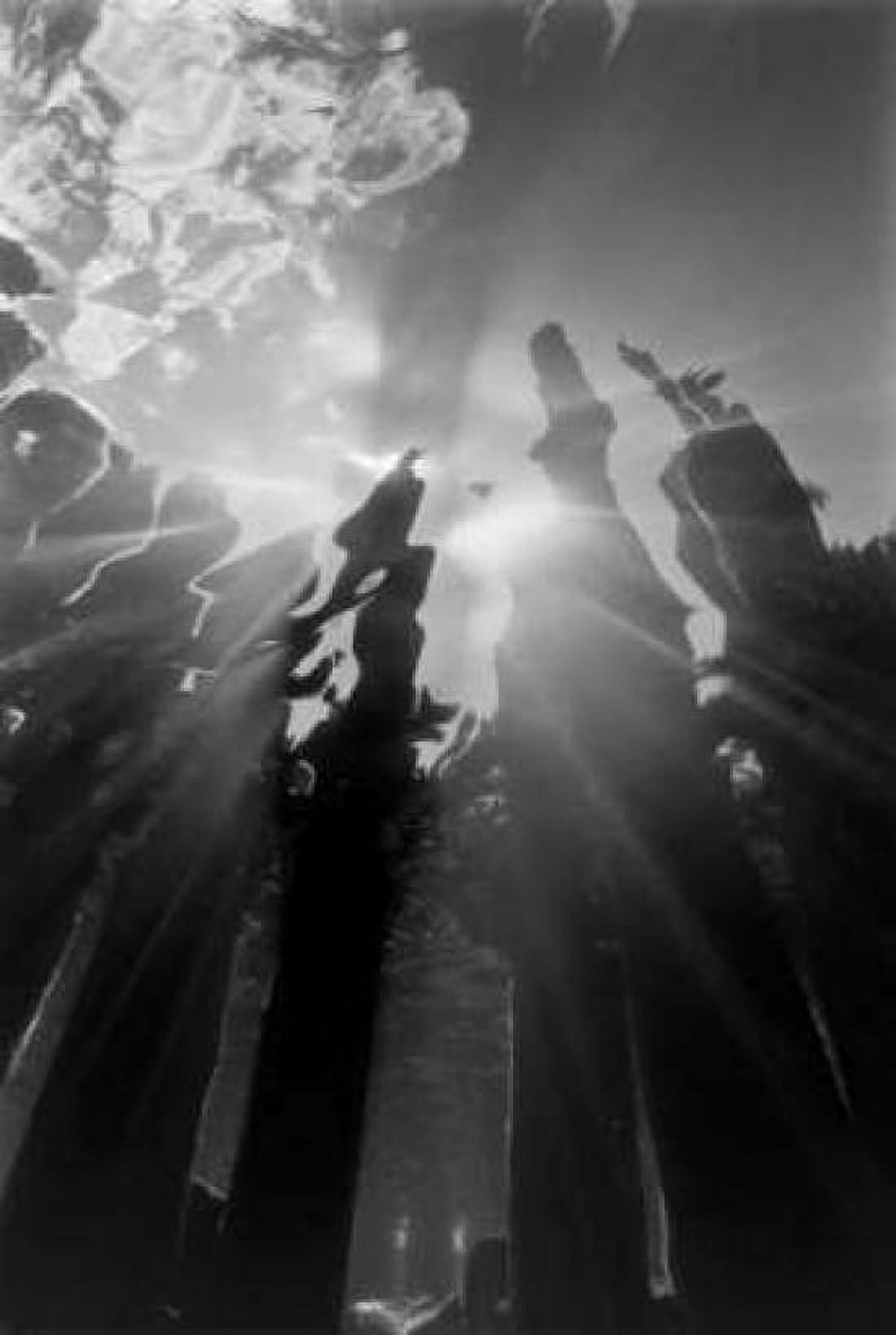 Pier Pilings VI Canvas Art - Lee Peterson (24 x 36)