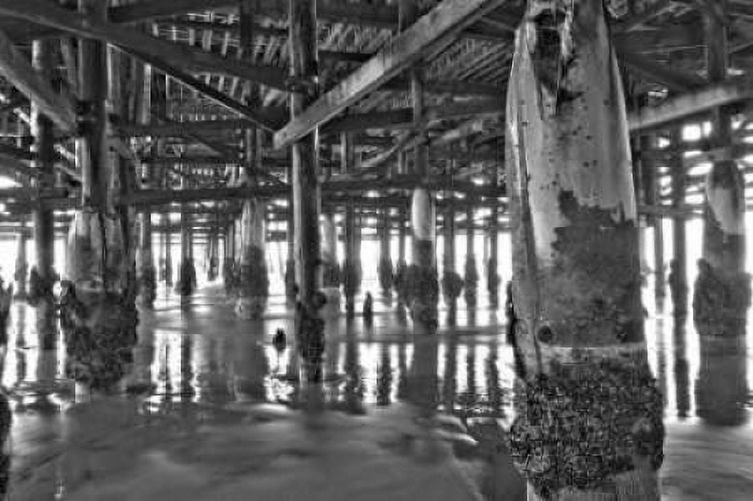 Pier Pilings XI Canvas Art - Lee Peterson (24 x 36)