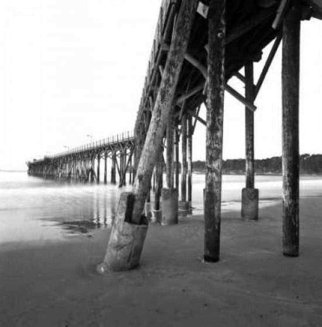 Pier Pilings XIX Canvas Art - Lee Peterson (24 x 24)