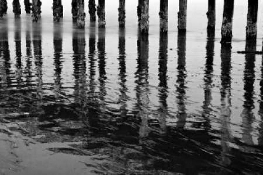 Pier Pilings XV Canvas Art - Lee Peterson (12 x 18)