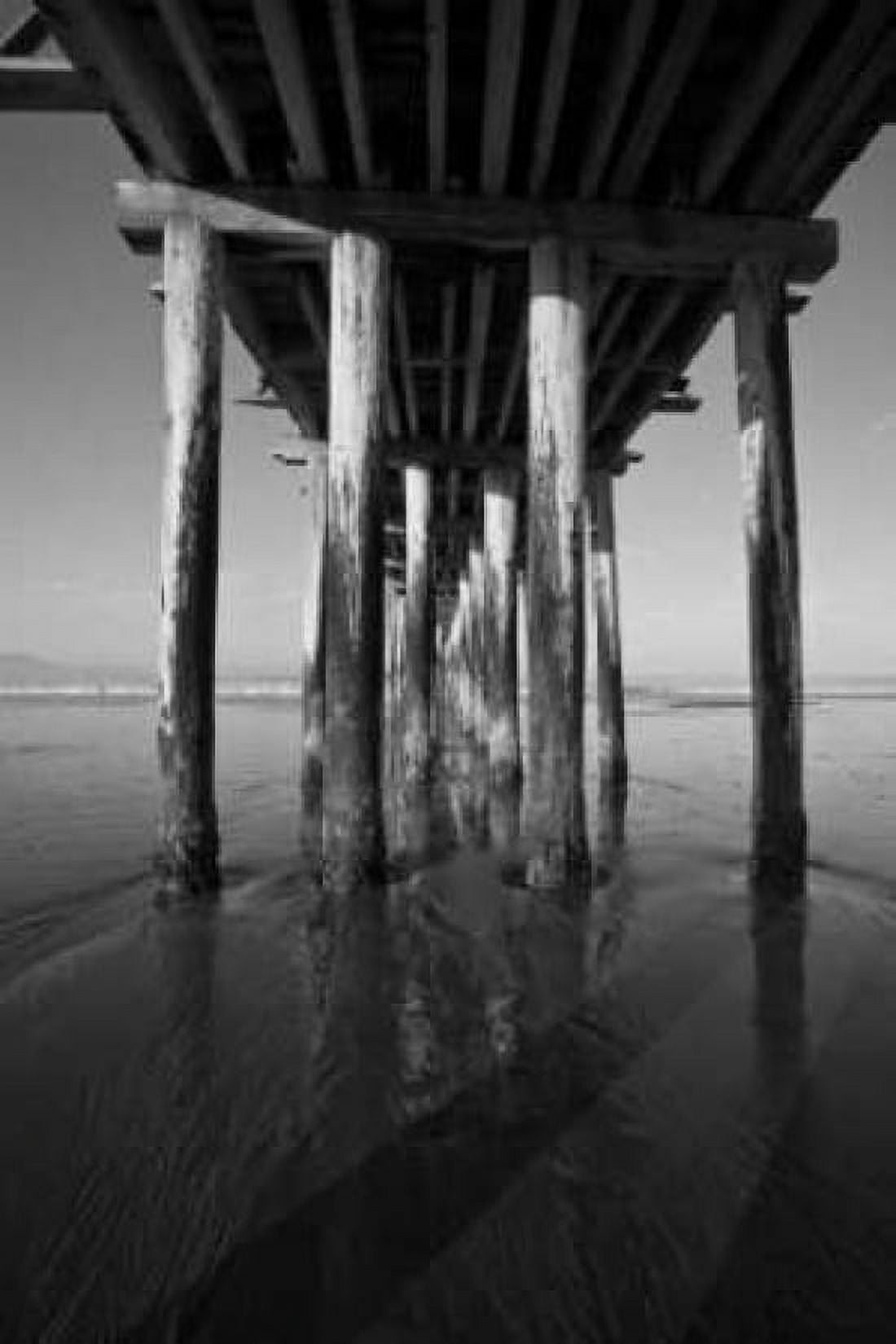 Pier Pilings XVI Canvas Art - Lee Peterson (24 x 36)
