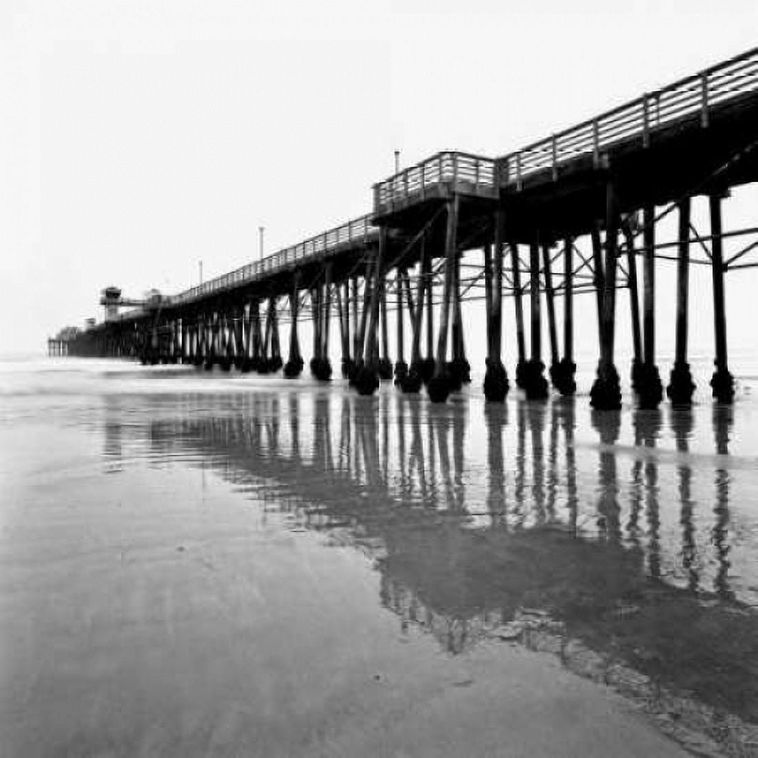 Pier Pilings XXI Canvas Art - Lee Peterson (24 x 24)