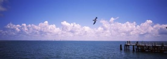 Pier over the sea Fort De Soto Park Tampa Bay Gulf of Mexico St Petersburg Pinellas County Florida USA Canvas Art - Panoramic Images (36 x 13)