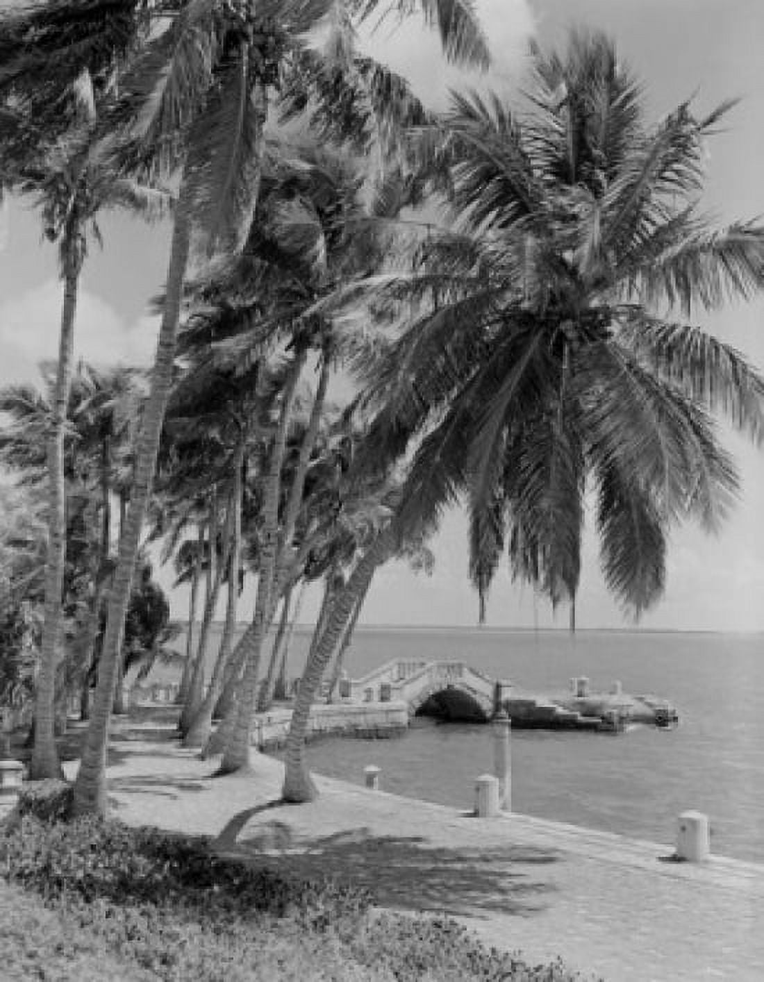 Pier palm trees and sea Canvas Art - (18 x 24)