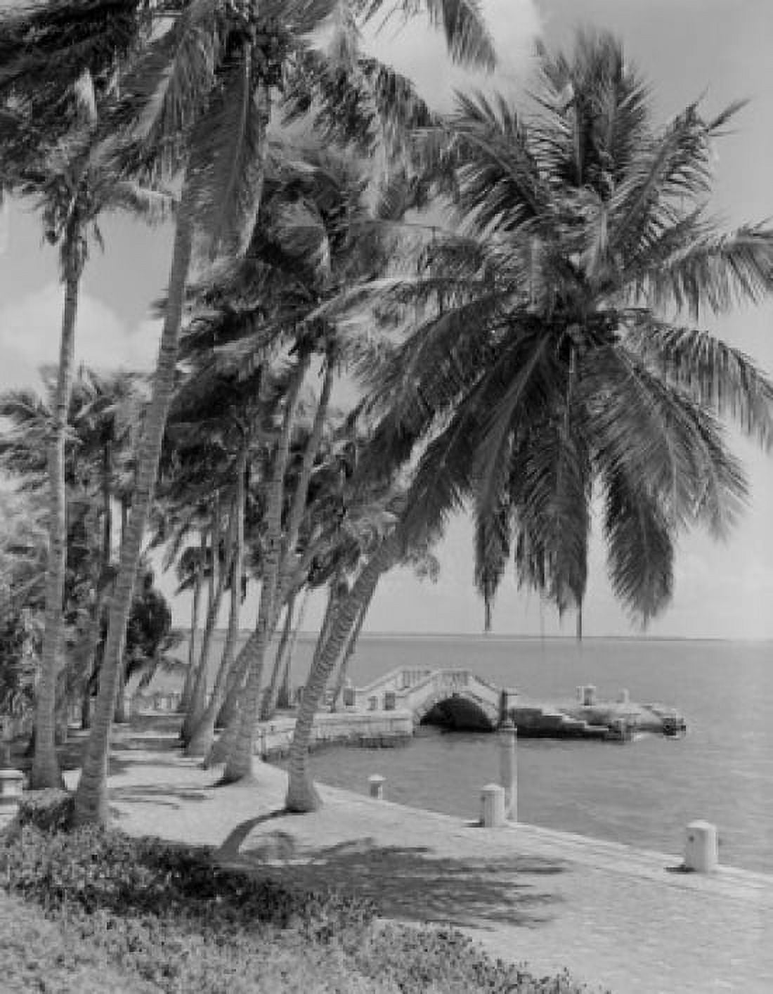 Pier palm trees and sea Canvas Art - (24 x 36)