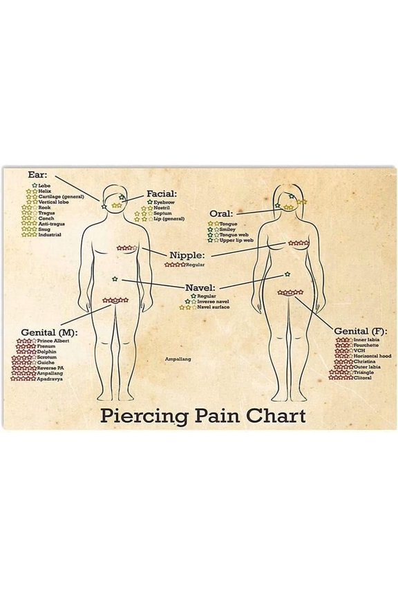 Piercing Pain Chart Metal Tin Signs Wall Decor Body Piercing Knowledge Retro Poster Tattoo Artist Reference Guide Plaques Tattoo Parlor Club Home 8x12 inches