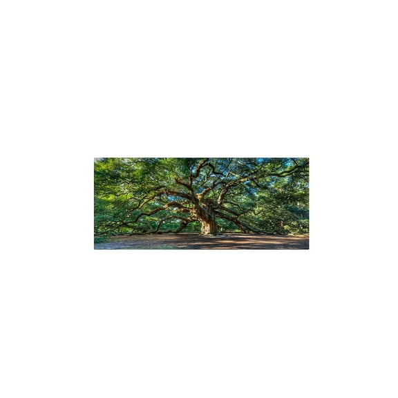 Trademark Fine Art Pierre Leclerc Angel Oak Charleston Canvas Wall Art - 10x19