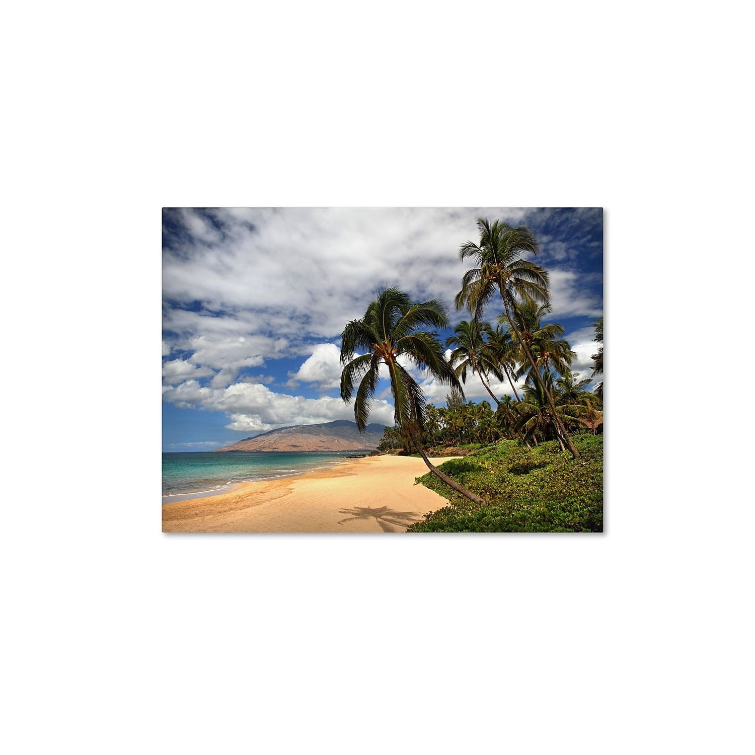 Pierre Leclerc 'Kamaole Tropical' Canvas Art