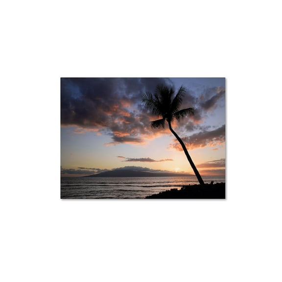 Pierre Leclerc 'Palm Tree Maui' Canvas Art