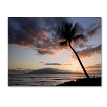 Pierre Leclerc 'Palm Tree Maui' Canvas Art