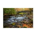 thumbnail image 1 of Pierre Leclerc Photography 'Great Smoky Mountain River' Canvas Art, 1 of 4