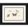 thumbnail image 1 of Pieter Withoos 18x13 Black Ornate Wood Framed Double Matted Museum Art Print Titled - Leaf with Five Butterflies and Two Birds (1664 - 1693), 1 of 5
