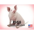 Pig 2024 Wall Calendar