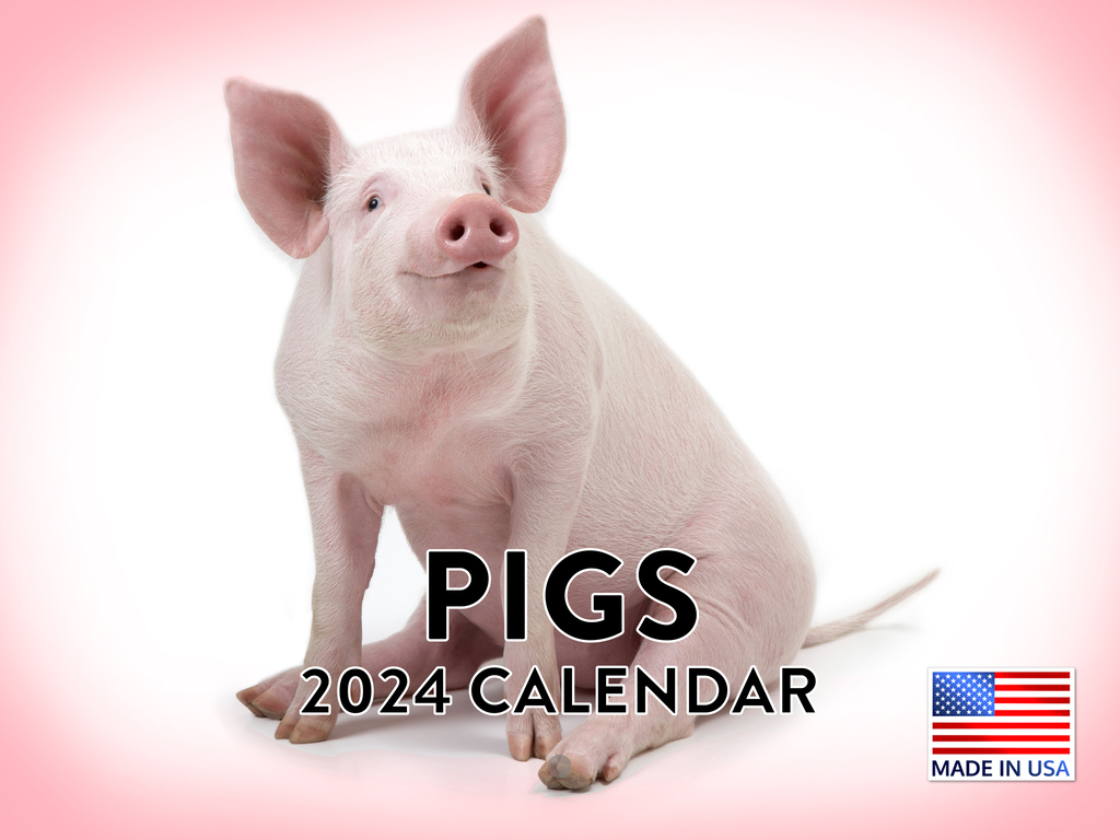 Pocket Pigs Mini Wall Calendar 2019 The Famous Teacup Pigs of