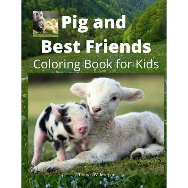 Pig and Best Friends Coloring Book for Kids : A Cute Farm Animal Coloring Book for Kids Ages 3-8 - Super Coloring Pages of Animals on the Farm - Pig and Best Friends Activity and Coloring Book for Boys, Girls and Kids - Amazing Gift for Kids (Paperback)