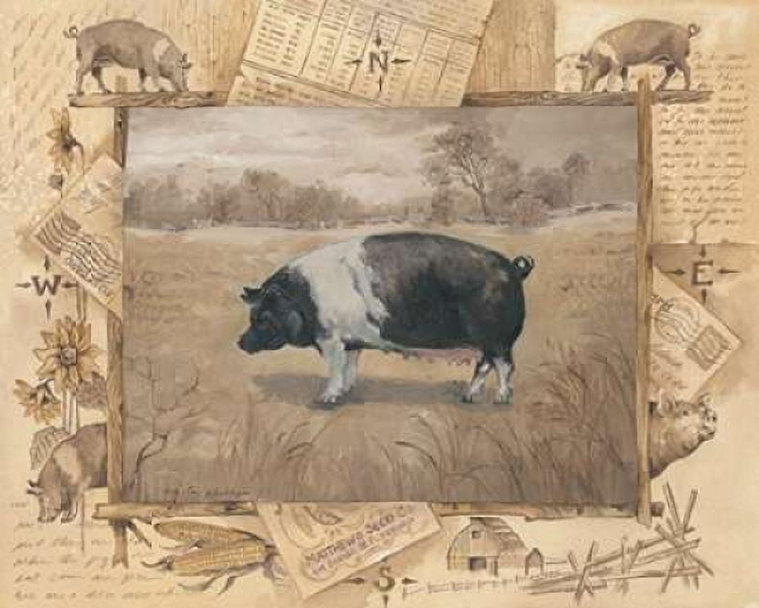Pig Canvas Art - Anita Phillips (24 x 30)