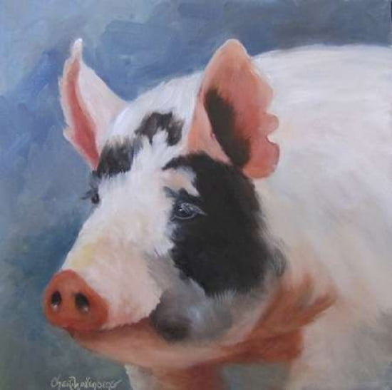 Pig Canvas Art - Cheri Wollenberg (24 x 24)