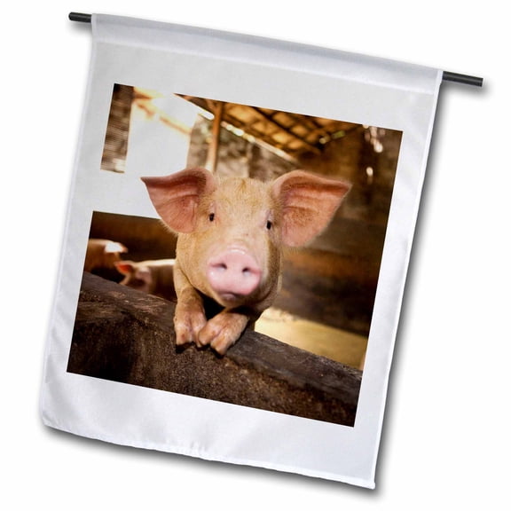 3dRose, Pig Farm, Bali, Indonesia-AS11 MWR0021 - Micah Wright, 18 x 27 inch Garden Flag