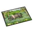 thumbnail image 1 of Pig In Bluebells by Debbie Cook Doormat 24x36, 1 of 4