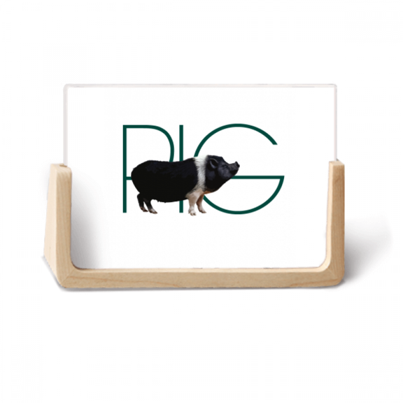 Pig Line Black Hair Art Deco Fashion Photo Wooden Photo Frame Tabletop Display