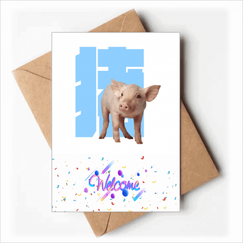 Pig Noun Display Instruction Back Greeting Cards Envelopes