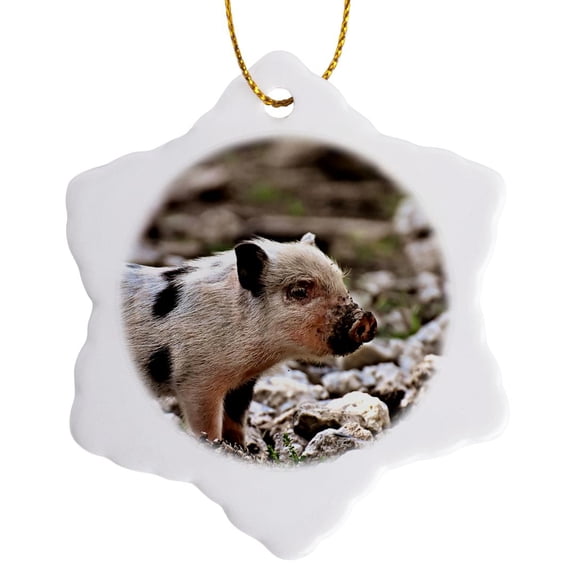 3drose, Pig Piglet Farm Animal in the Wildlife Nature, 3 inch Snowflake Porcelain Ornament