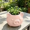 thumbnail image 1 of Pig Planter Pot With Drainage Hole, Cute Animal Succulentes Planter Decorative Flower Container, Mini Indoor Plant Pot for Desk Windowsill Office Cactus Herb Home Decor, 1 of 6