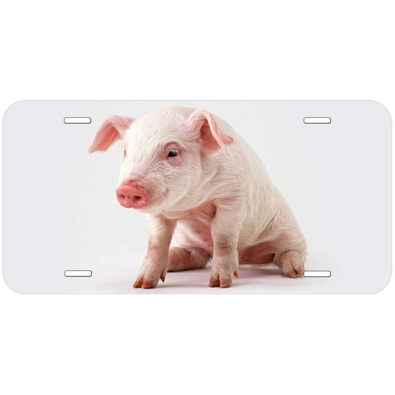 Pig TAG04 Novelty Car Auto License Plate