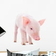 thumbnail image 1 of Pig Wall Decal by Wallmonkeys Peel and Stick Graphic (18 in W x 12 in H) WM131428, 1 of 4