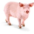 thumbnail image 1 of Pig, 1 of 1