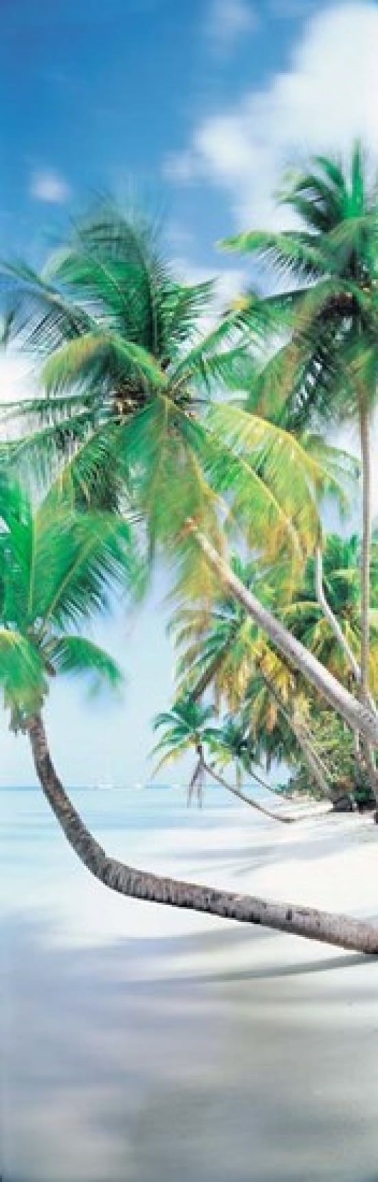 Pigeon Point Tobago Canvas Art - Panoramic Images (12 x 38)